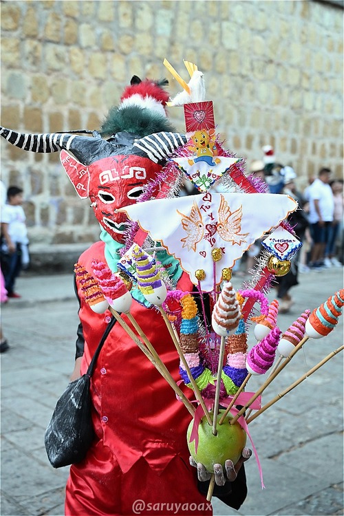 s-DSC_4353