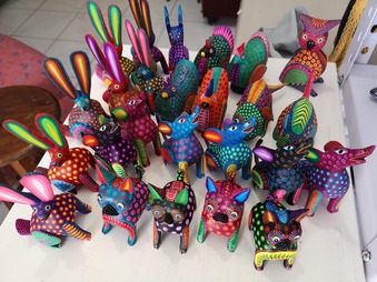 78236171_2617191328369757_3652258150624526336_n