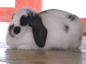 697fd604.jpg