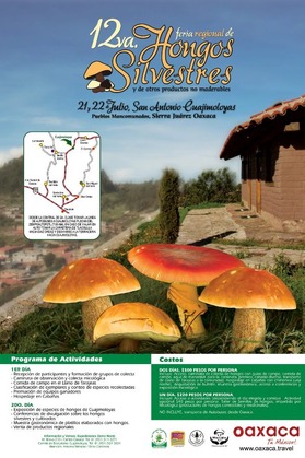 486625_10151064310358023_660361246_n