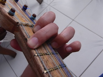 RIMG2508