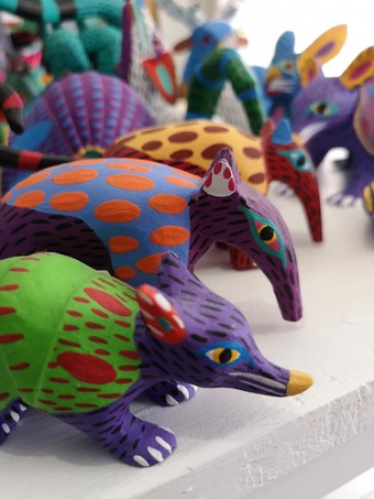 79199431_2617192481702975_4128120645617713152_n