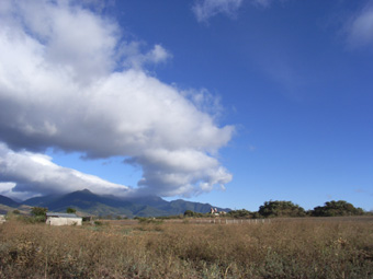 8951b9a5.jpg