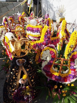 P7292095