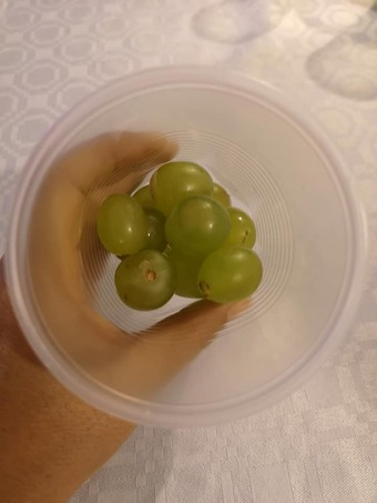 81211093_2697576510331238_7883416934279020544_n