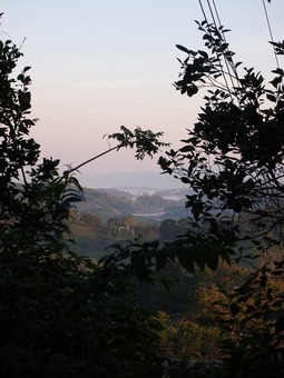 P1218608
