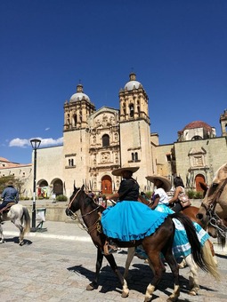 17309199_1291483987607171_3662320184683830763_n