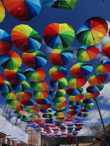 47121639_1987568501332046_8681895481099419648_n