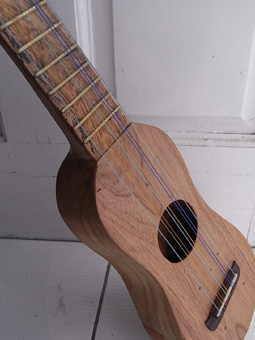 RIMG2505