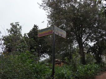 a9c37881.jpg