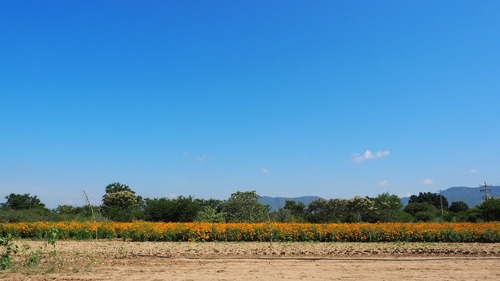 P1011597