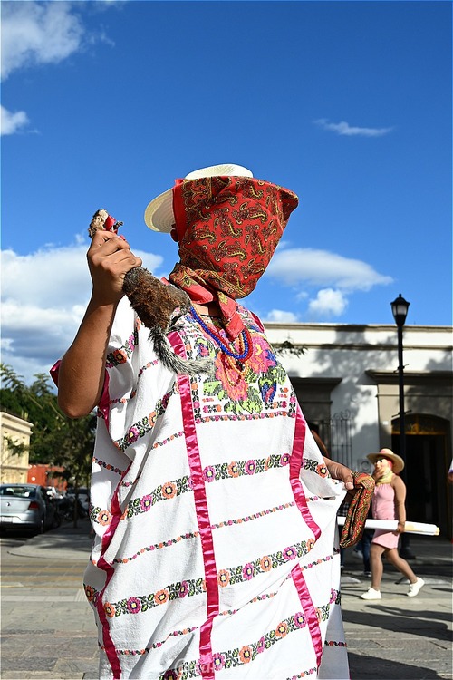s-DSC_3727