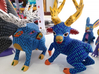 78616628_2617192311702992_8769555338409017344_n