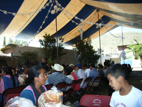 b87b437c.jpg