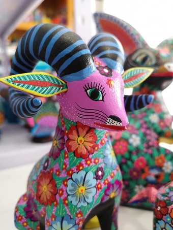 78357922_2617192115036345_3919070736051863552_n