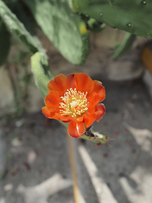 P9212310