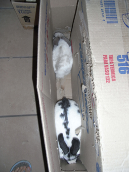 d35d287a.jpg
