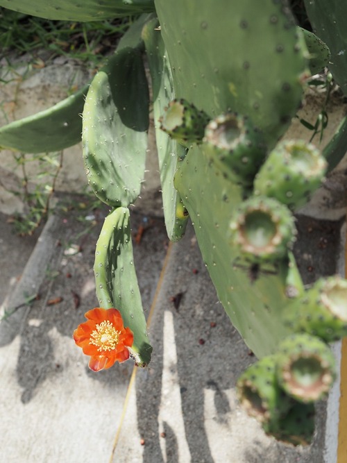 P9212312