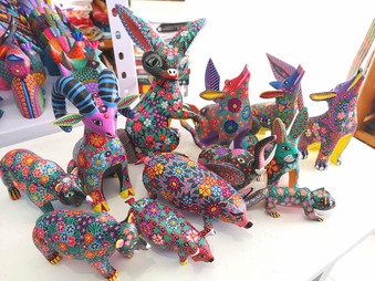 77069629_2617191718369718_4531514707181305856_n