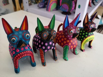 77264404_2617191478369742_2197771822341029888_n