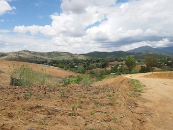 P6190899