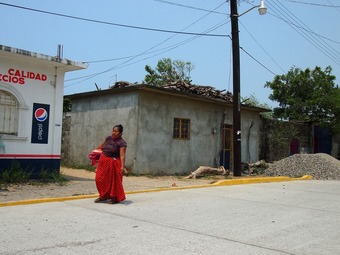 P5230704
