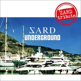 sardunderground