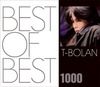 t-bolan5
