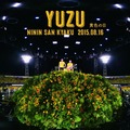 yuzu816
