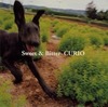 curio