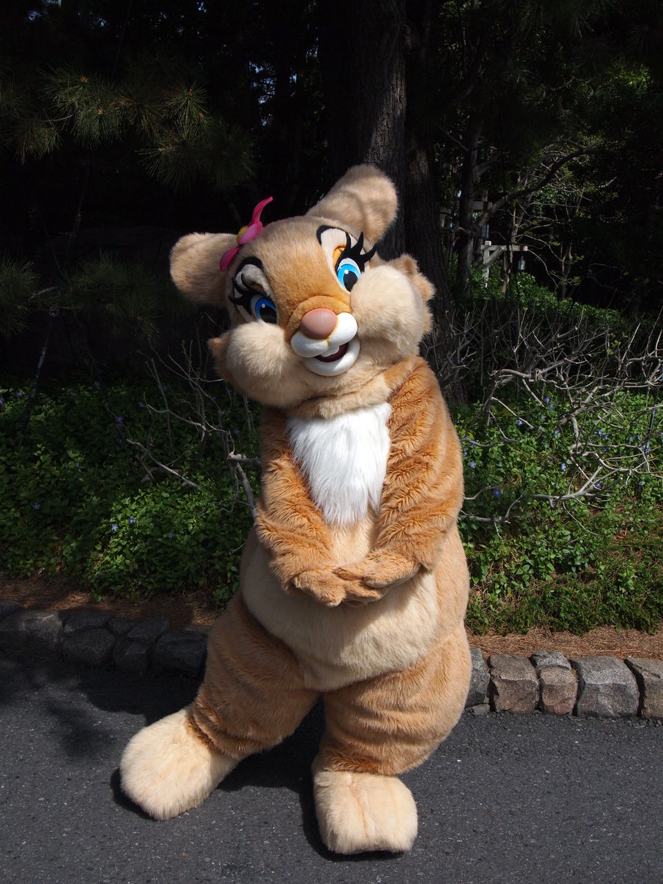 とんとんとん とんすけ とんすけホーテぇ すみません 題名 思いつかなくて 汗 ひとりぼっちディズニー とんとんとん とんすけ とんすけホーテぇ すみません 題名 思いつかなくて 汗 ひとりぼっちディズニー