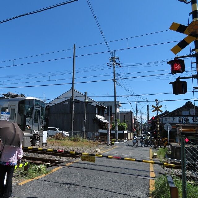 八木町202005 (10)