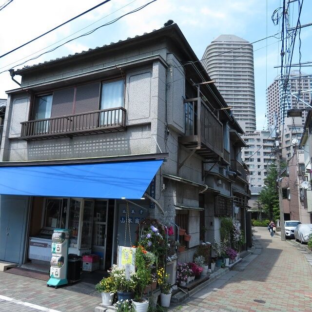 佃島202005 (3)