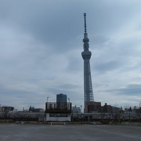 浅草吉原202003(11)