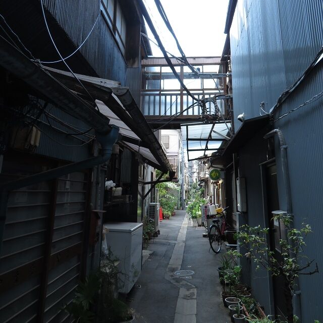 月島202005(14)