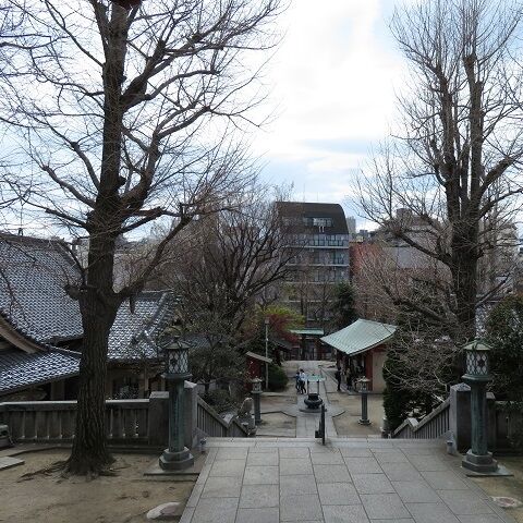 浅草吉原202003(5)