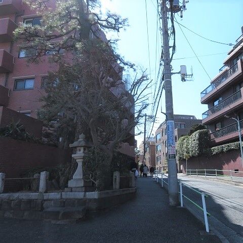 麻布202003(49)