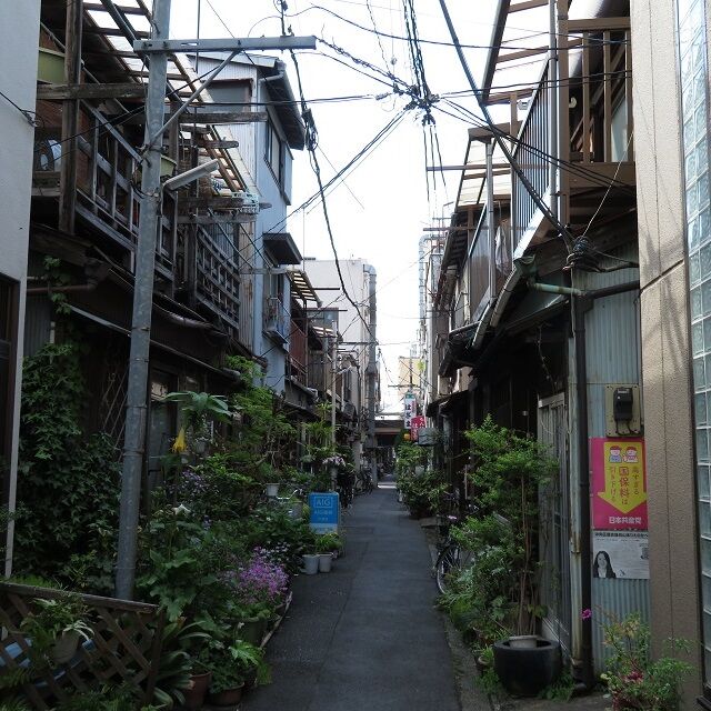 月島202005(12)