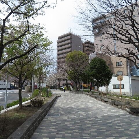 浅草吉原202003(14)
