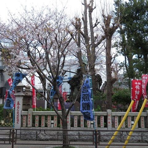 吉原202003(11)