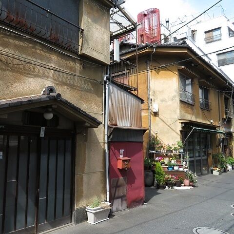 吉原202003(118)