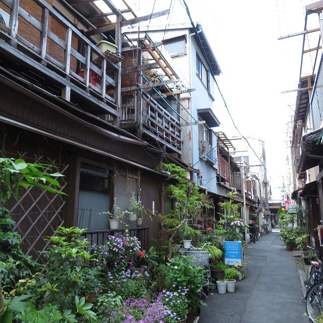 月島202005(13)