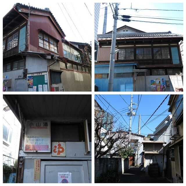 三田小山202003(21)