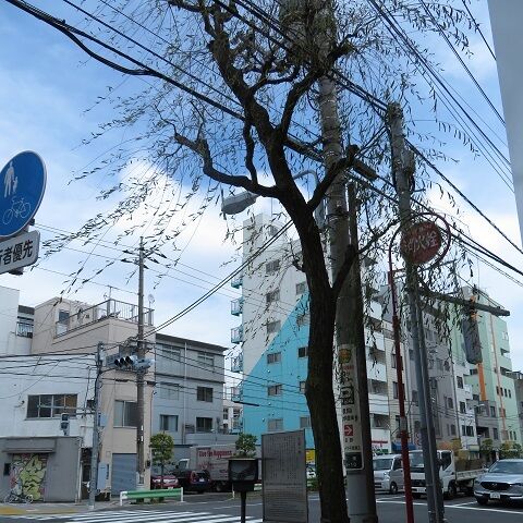 吉原202003(17)
