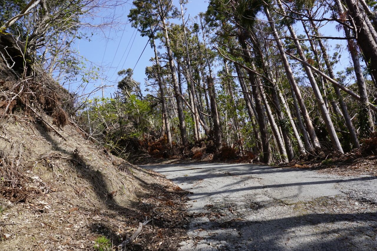 03 21 房総グラベルライド 恐怖の林道保田見線 アラサーseのサイクル日誌 03 21 房総グラベルライド 恐怖の林道保田見線 アラサーseのサイクル日誌