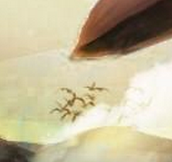 2029fb783bcfae9007c6eb2717e06ad5