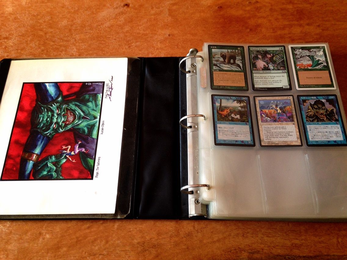 15年ぶりにカードバインダーを買い換えたらその進化に驚いた 今までのはなに ばずまじ