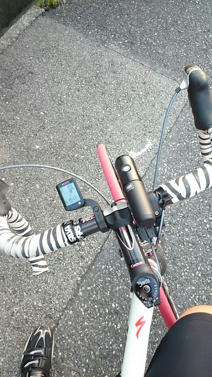 ポケモンgo 職場も道も大ブームだけど シマウマと私と自転車日記