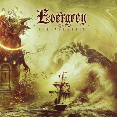EVERGREY11