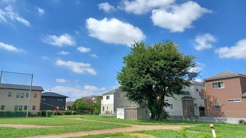 20240802_094515